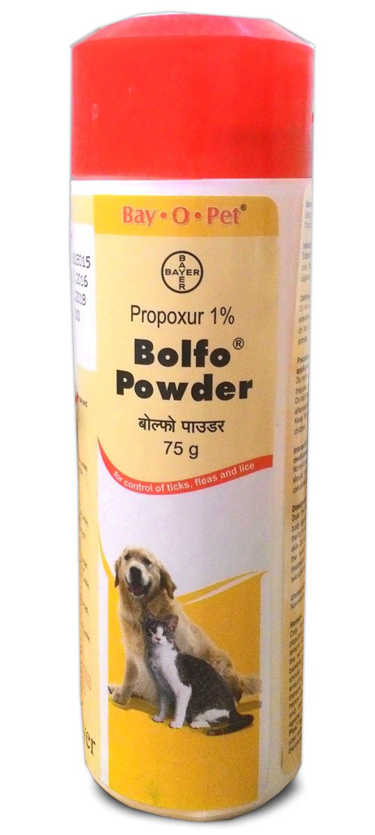 Bolfo powder deals for dogs