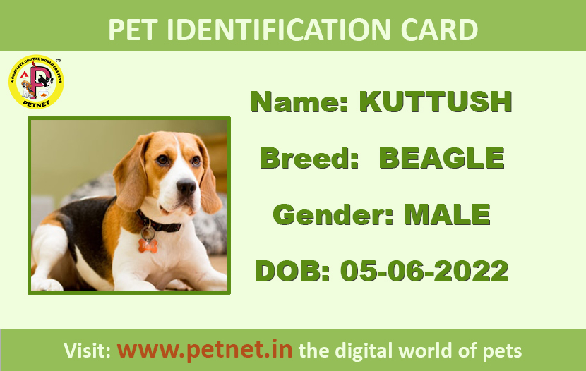 Pet Identification Card