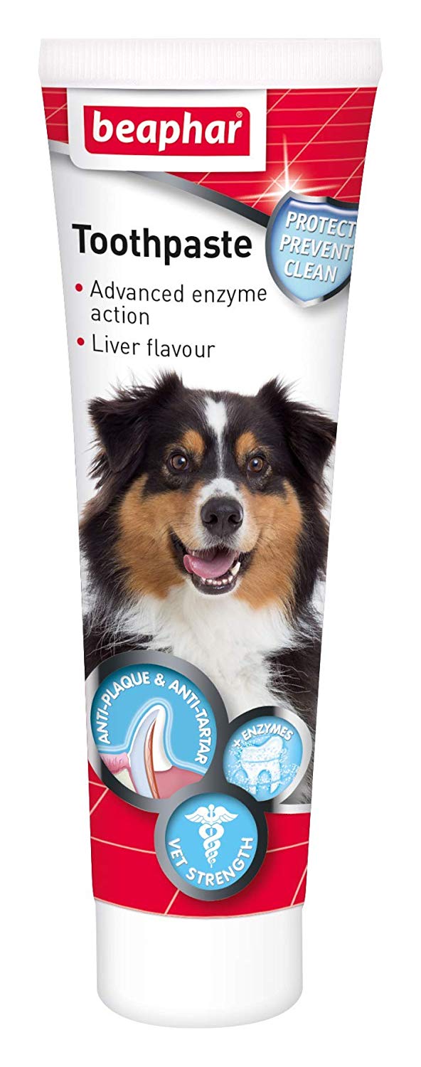 Beaphar Toothpaste 100gm