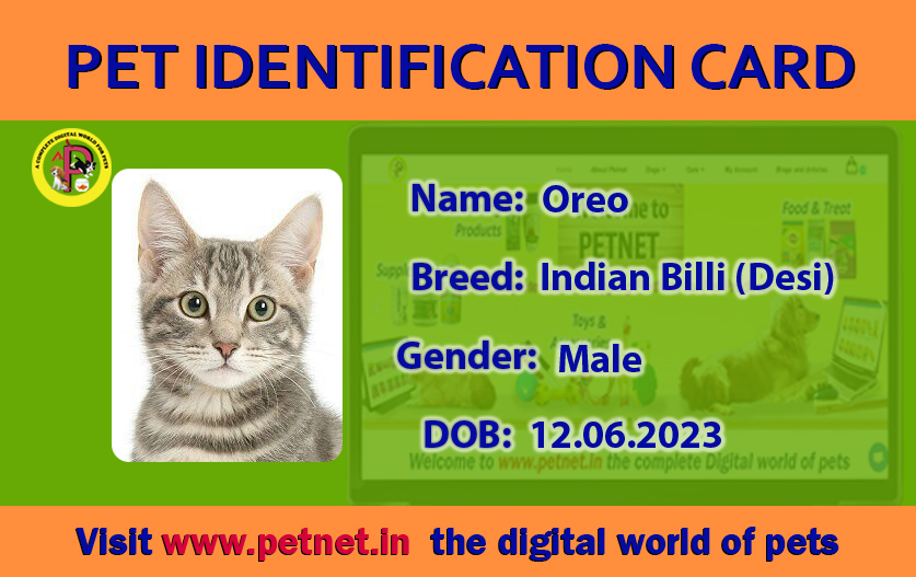 Pet Identification Card