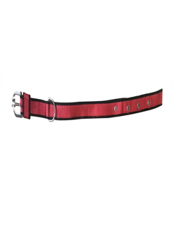 Collar 1?Inch Red