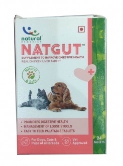 Natgut